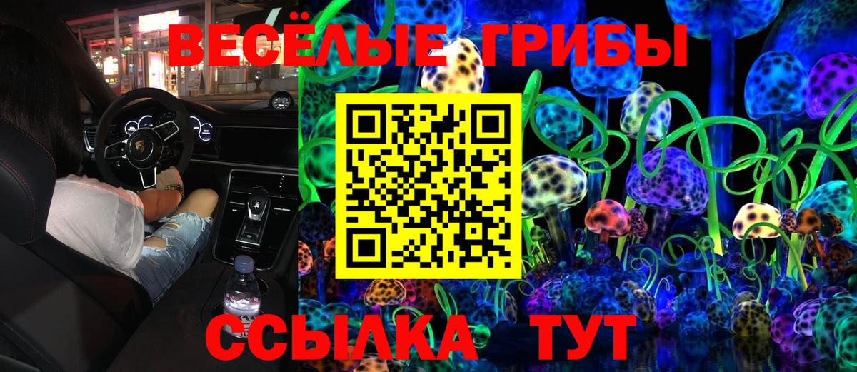 Владикавказ  Псилоцибиновые грибы мицелий  Псилоцибиновые грибы Psilocybe  Вход с VPN 